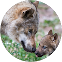 Nout Power profielfoto